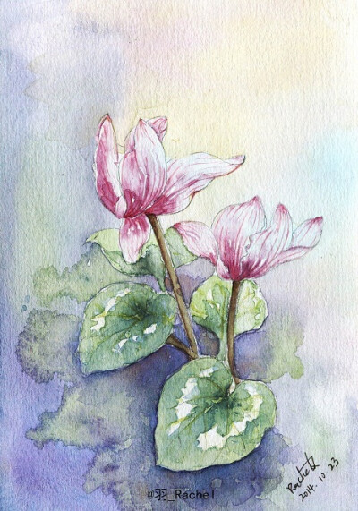 水彩手绘~仙客来两张~-羽_Rachel_原创,水彩,手绘,小清新,花卉,植物_涂鸦王国