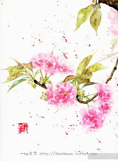 水彩插画——樱花