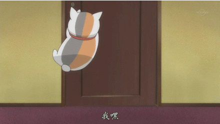 #猫咪老师# #gif# (=￣ω￣=)