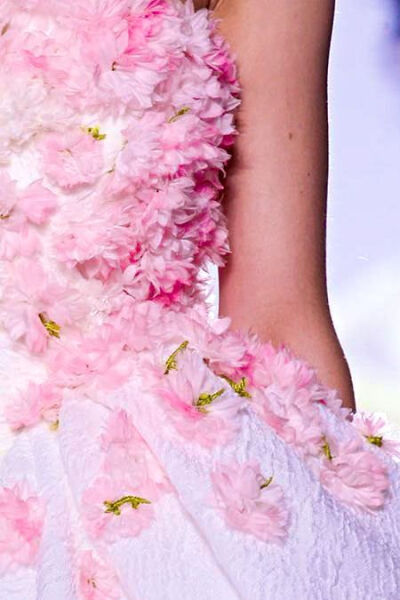 Giambattista Valli C...