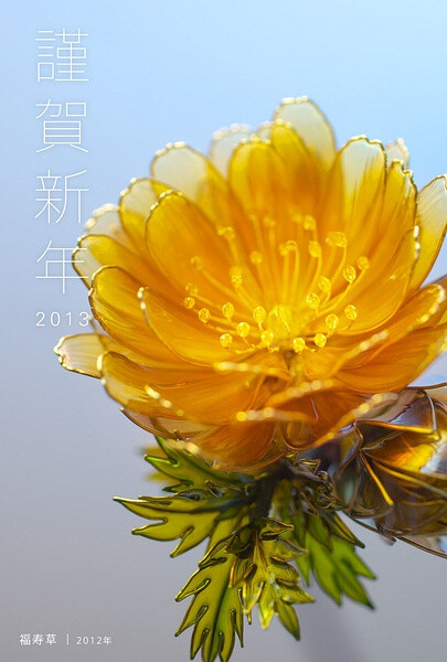 2013年 年賀状 -New Year's card 2013 Happy New Year! 福寿草 簪(2012) -Far East Amur adonis hairpin