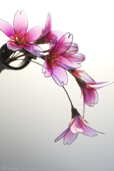 2011 しだれ桜 kanzashi