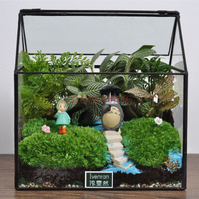 依雯然 玻璃花房植物 苔藓微景观生态瓶 新奇绿植盆栽 室内摆件 创意生日礼品。 送给TA不一样的心意！