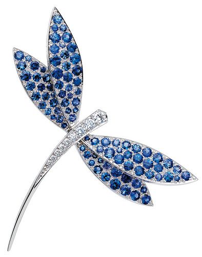 Van Cleef &amp;amp; Arpels Dragonfly clip