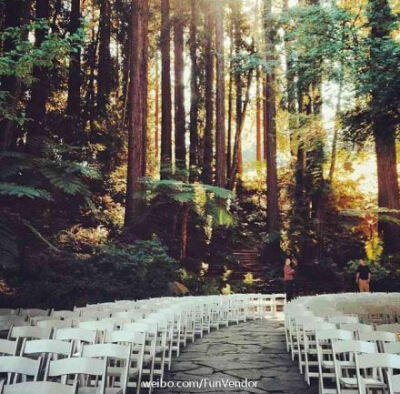 Forest Wedding 森林婚礼