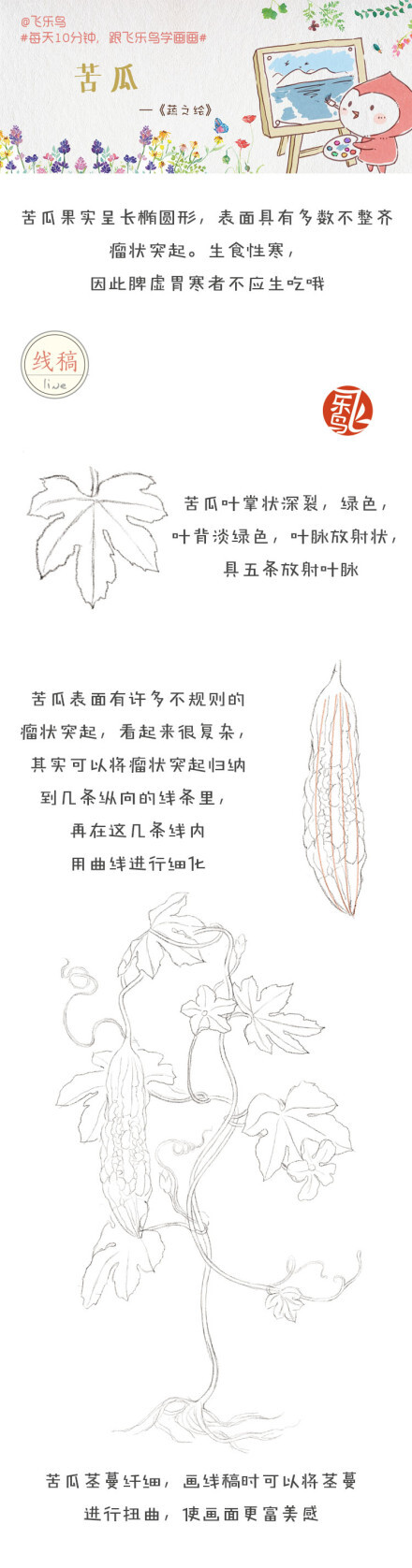 #每天10分钟，跟飞乐鸟学画画#“真想不到当初我们也讨厌吃苦瓜，今天竟吃得出那睿智愈来愈记挂”，你也爱吃那虽苦却营养丰富的苦瓜吗？！