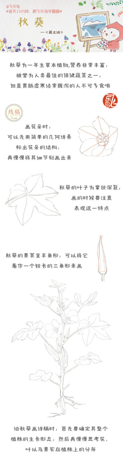 #每天10分钟，跟飞乐鸟学画画# 秋葵外形似辣椒，故有洋辣椒之称~非常有营养哦。民以食为天，换个角度看蔬菜的美丽吧！