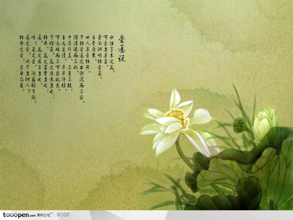 中国风-国画爱莲说