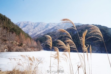 教授和千颂伊露营场景的取景地-장암 저수지长岩蓄水池*