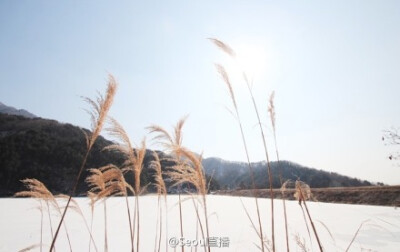 教授和千颂伊露营场景的取景地-장암 저수지长岩蓄水池*