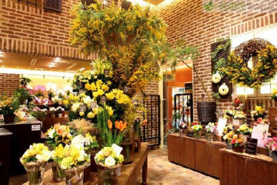 小偷对花情有独钟专盗花店 原文出自迷糊园花卉植物主题交友社区(www.mihuyuan.com) 据了解，在某市发现多起花店被盗事件，令人奇怪的是小偷并没有盗窃钱财，而是盗窃花店的各种花。 记者在拘留所采访到了这个奇葩的…