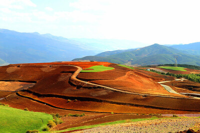 在广袤的滇中高原上，红色的土壤随处可见。