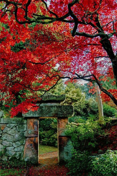 筑山庭 是在庭园内堆土筑成假山,缀以石组、树木、飞石、石灯笼的园林构成。一般要求有较大的规模,以表现开阔的河山,常利用自然地形加以人工美化,达到幽深丰富的景致。日本筑山庭中的园山在中国园林中被称为岗或阜,日…