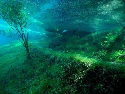 奥地利水珍珠 · 绿湖水下公园