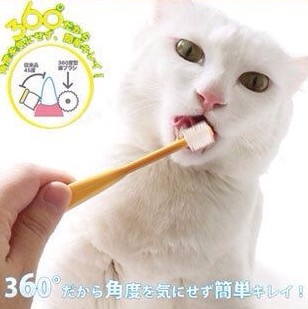 日本SigOne360度宠物牙刷超柔软超小型犬猫用牙刷 粉色