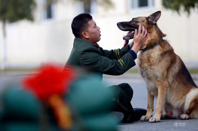 2014年11月21日，江苏省南京市，训犬员谢乐平在和爱犬“黑熊”进行最后的道别。