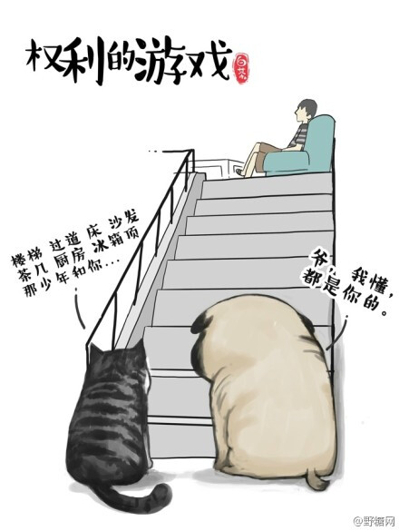 白茶 画的喵漫画 第二弹！高冷自行体会