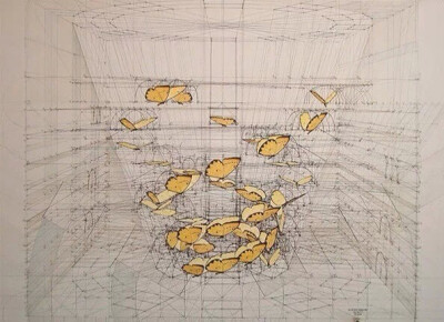 斐波那契数列是完美的秘密，委内瑞拉艺术家Rafael Araujo没有使用科技产品辅助，单靠铅笔、尺、量角器就画出了大自然中的奥妙数学：蝴蝶起飞的方式，贝壳的螺旋生长比例，许多作品都带有一种达文西手稿的风味，在这…