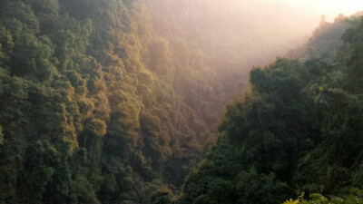 肇庆 鼎湖山 清新的空气_无人的山中