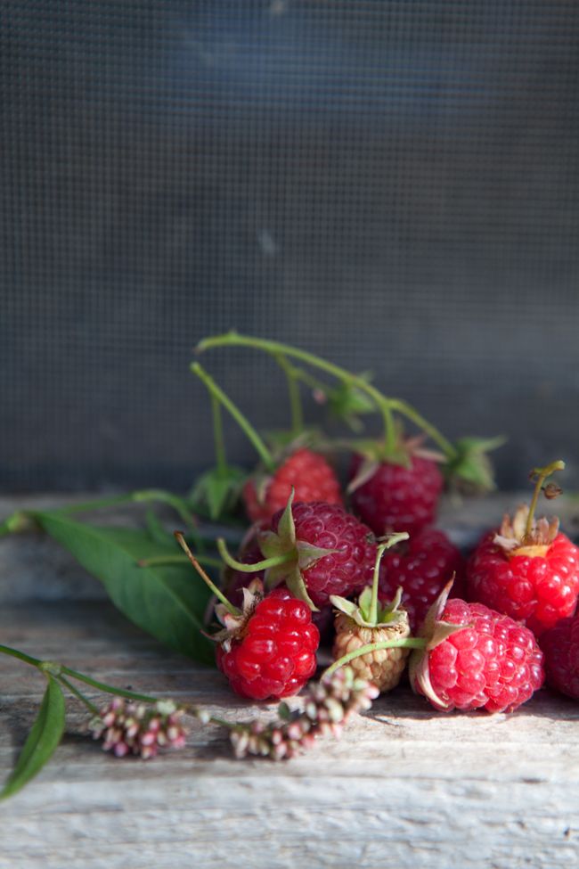 树莓 Raspberry (英) ; Hallon (瑞) ; Vadelma (芬) 又称覆盆子，常常用来做千层派或蛋糕