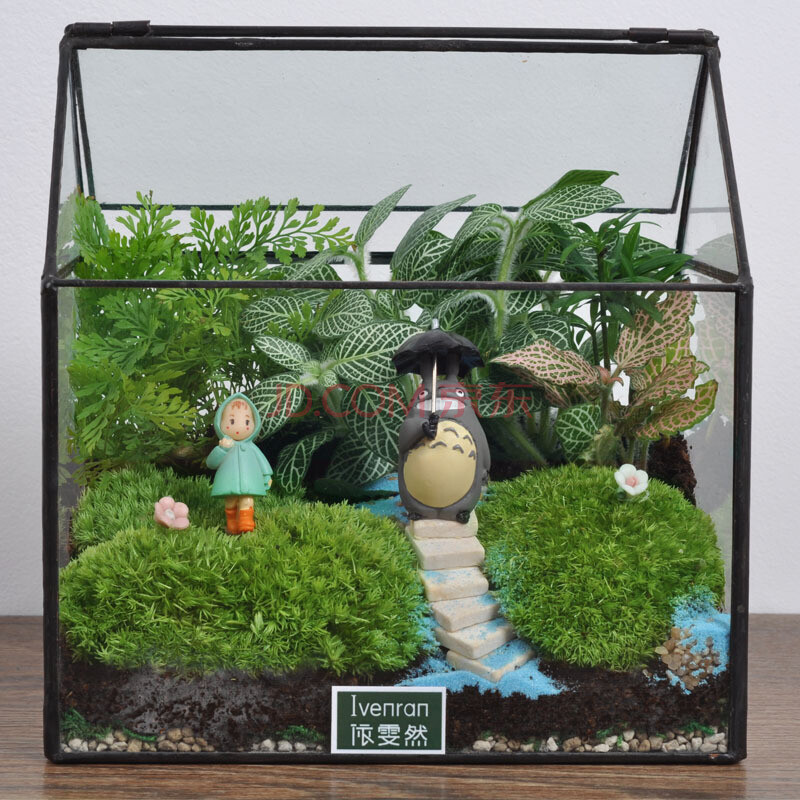 玻璃花房植物盆景 鲜花绿植盆栽 室内摆件 创意儿童DIY