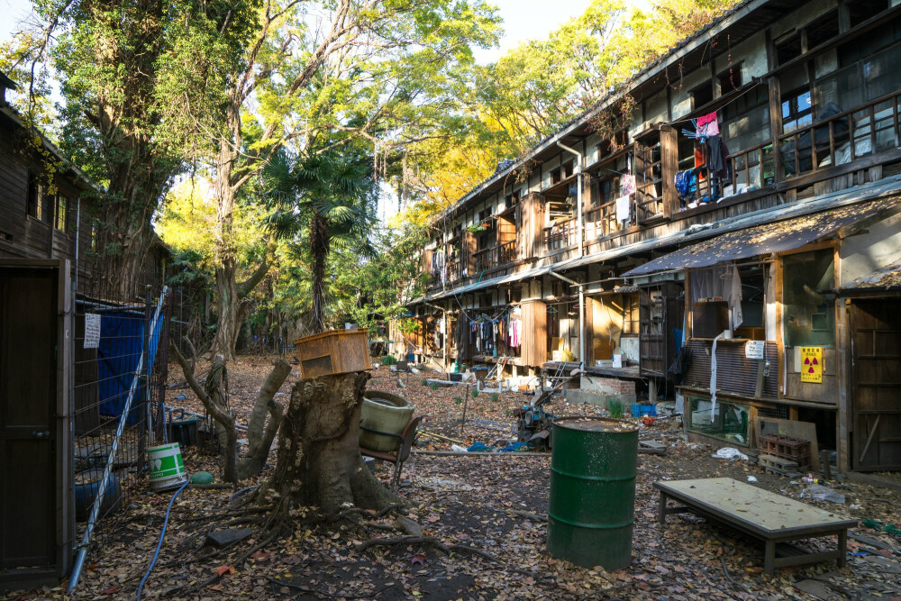 吉田寮，京都大学的学生自治区域。在这全亚洲最破的宿舍里，可能住的是全亚洲最优秀的学生。他们养鸡养兔，养山羊养鸵鸟，费用仅是自己租公寓的十分之一，但入住需要面试，以及拥有“生而为人，十分抱歉”的谦逊，做到人间失格，大概才有资格住进这小说设定中的复杂环境。