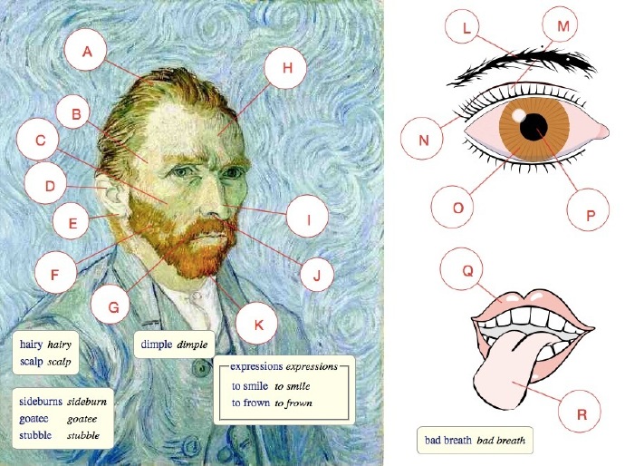 f)beard鬍子; g)moustache鬍鬚; h)forehead額頭; i)nose鼻子; j)