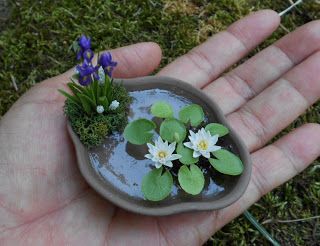 Pim's Mini Plants: How I make miniature Water Lily and Lotus