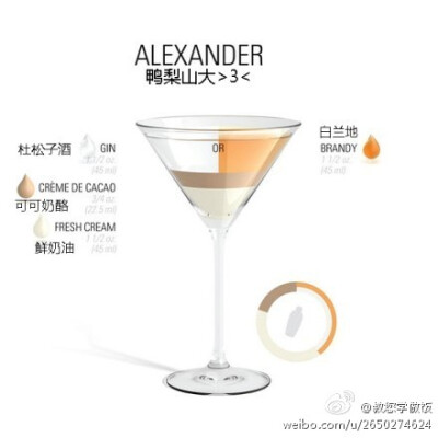 图解9种鸡尾酒的炫酷调法