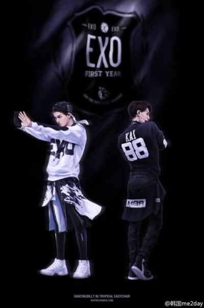 【instiz】粉丝绘制的EXO KAI~