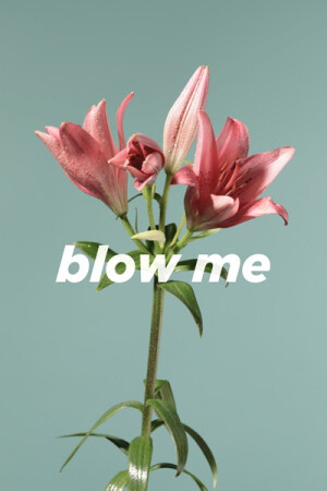 ＜ iPhone壁纸--Phone5壁纸--电脑壁纸- 头像-插画--文字- -动漫- 平铺 --萌物-- 卡通--人物 ＞→ Yes_GirL