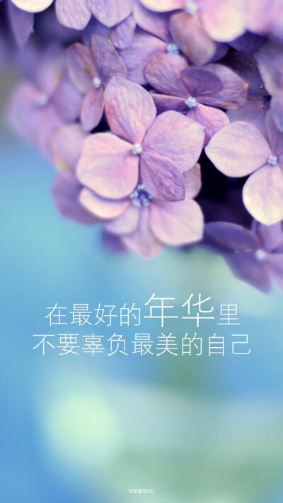 ＜ iPhone壁纸--Phone5壁纸--电脑壁纸- 头像-插画--文字- -动漫- 平铺 --萌物-- 卡通--人物 ＞→ Yes_GirL