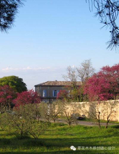 St-Remy 圣雷米小镇（法国）