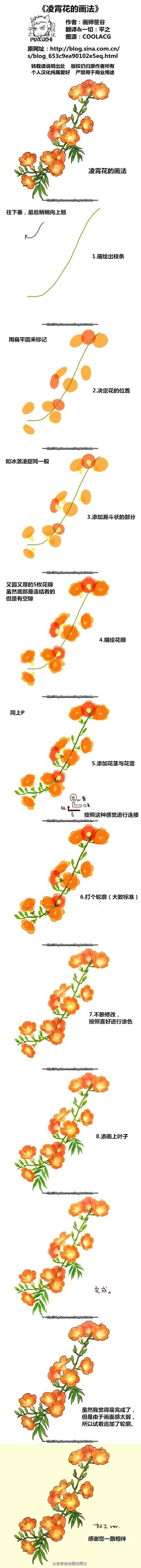 凌霄花画法