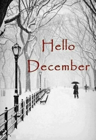 十二月壁纸 hello December