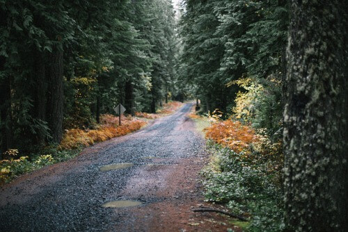 In the mountains. by Nathan Bobey on Flickr.