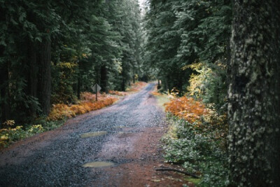 In the mountains. by Nathan Bobey on Flickr.