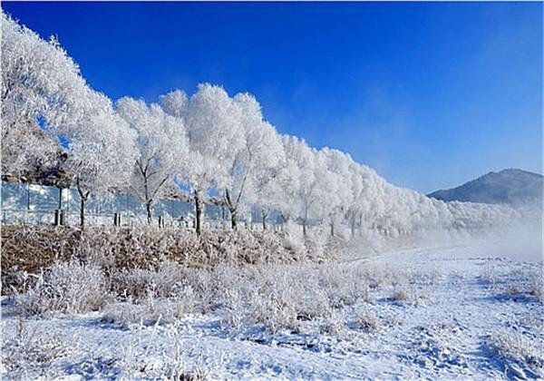 十大雪乡，这个冬天你还会错过吗？