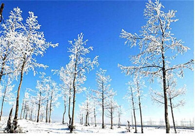 十大雪乡，这个冬天你还会错过吗？