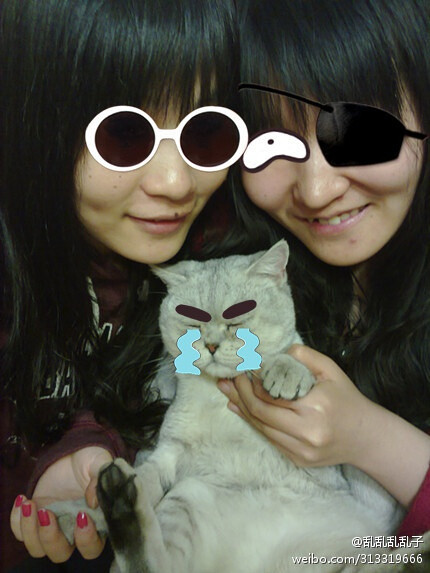 2012.01.02 2012元旦，Pinky、猫小得儿和我一起跨年！下午还和Pinky去电影院看了《倾城之泪》——坑爹的电影啊。。。。。。 这张也算在#~饼饼快来看你家猫小得儿~#系列吧~~NO.4