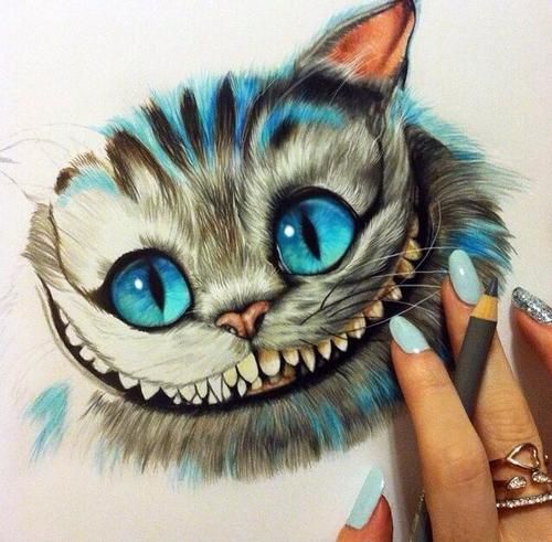 Chesire Cat - Alice in Wonderland drawing