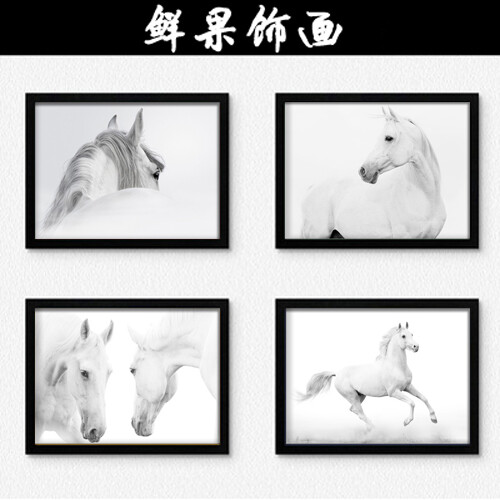 The white horse2 白马装饰画办公室客厅玄关有框画挂画 鲜果饰画