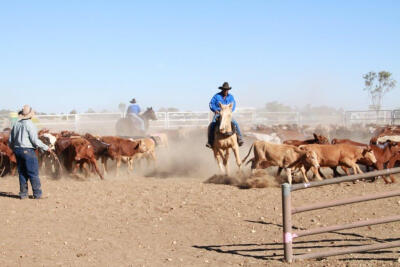 The Drover’s Camp Festival Camooweal