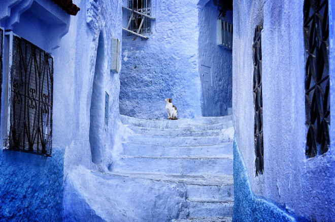 摩洛哥的蓝色小镇 CHEFCHAOUEN 通往天国的阶梯