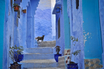 摩洛哥的蓝色小镇 CHEFCHAOUEN 通往天国的阶梯