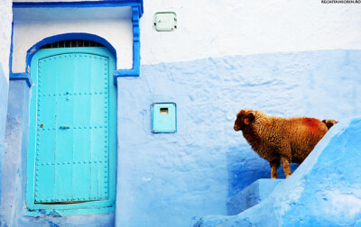 摩洛哥的蓝色小镇 CHEFCHAOUEN 通往天国的阶梯