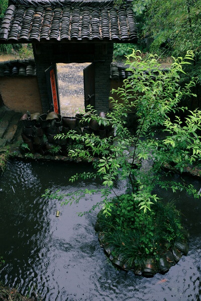 疾雨辞春未掩门