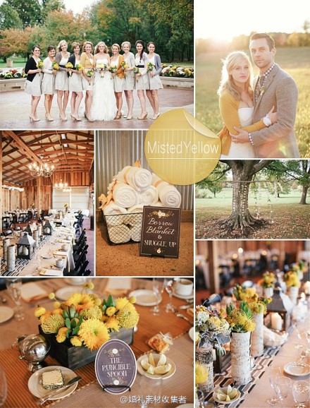  【快来看看2015最新的婚礼配色】2014即将over，2015又有哪些色彩趋势是值得让我们速度get呢？看这，保证让你的2015婚礼时尚时尚最时尚！更多配色灵感请点： http://t.cn/RzOzWOq