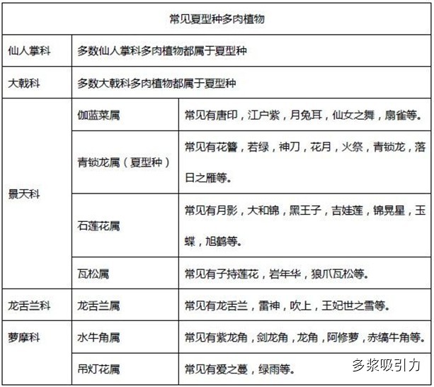 常见的东型、春秋型、夏型多肉植物1