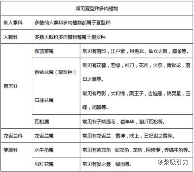 常见的东型、春秋型、夏型多肉植物1